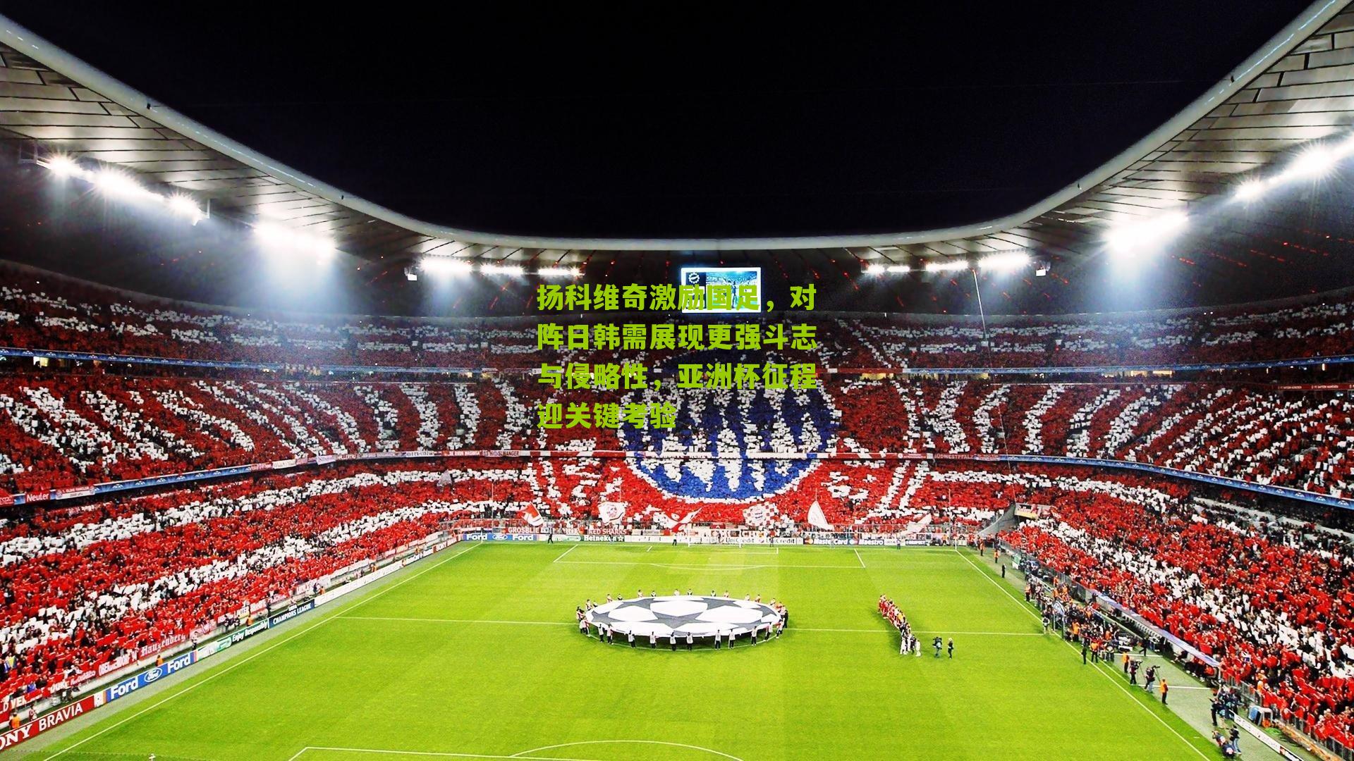 扬科维奇激励国足，对阵日韩需展现更强斗志与侵略性，亚洲杯征程迎关键考验