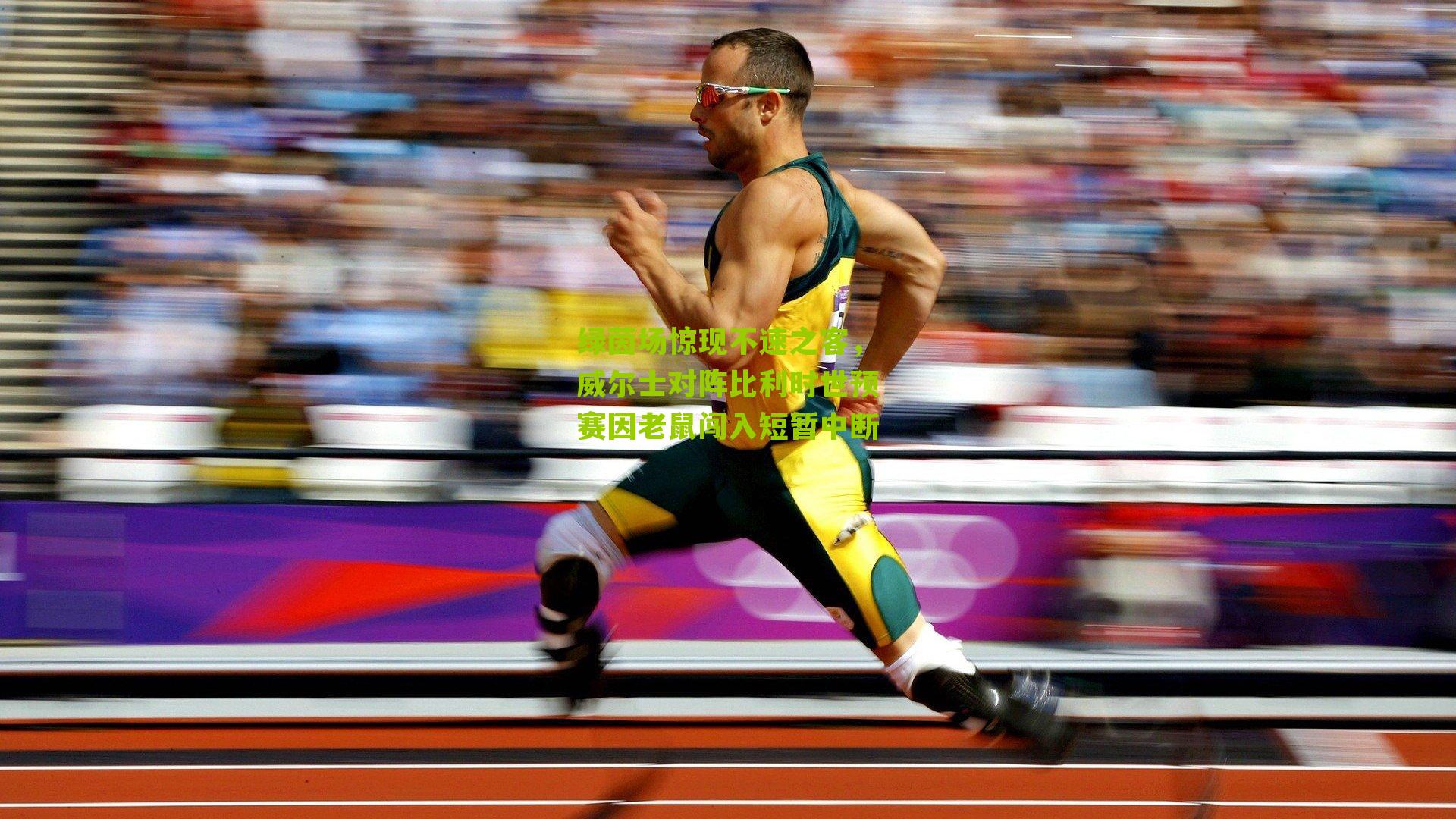 搜狐体育首页：绿茵场惊现不速之客，威尔士对阵比利时世预赛因老鼠闯入短暂中断